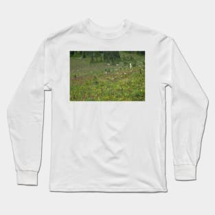 850_4597 Long Sleeve T-Shirt